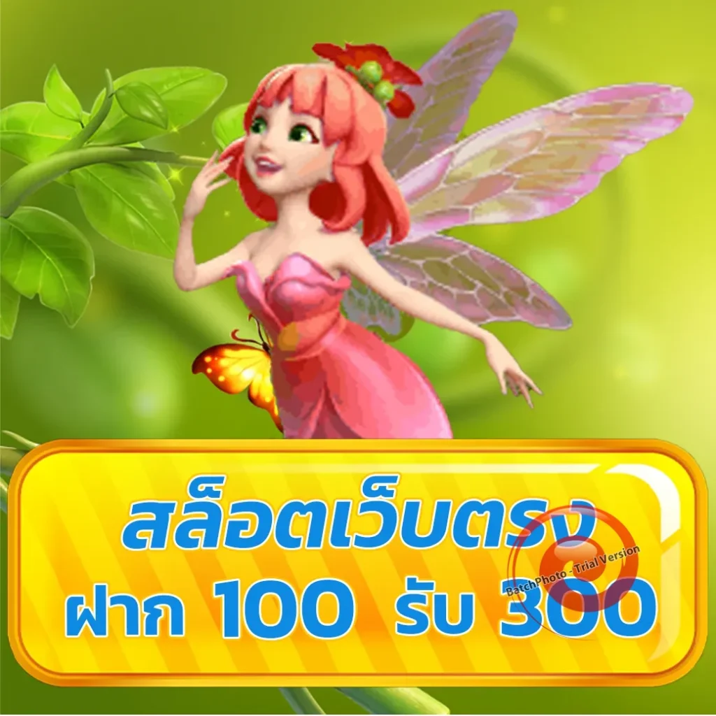 nemo 1688 thai
